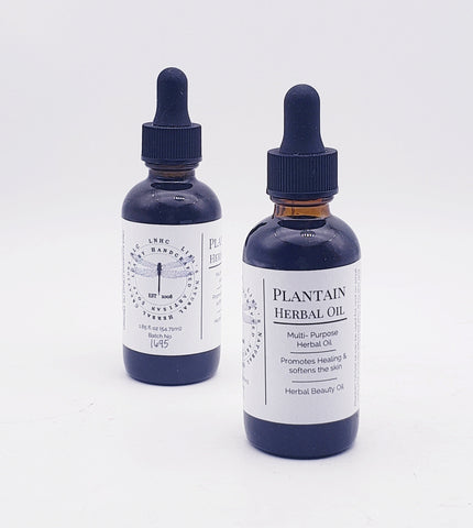 Plantain Herbal Oil - herbal oil